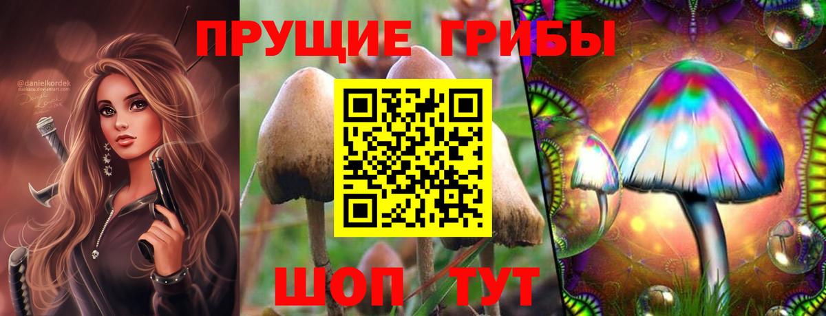 Псилоцибиновые грибы Magic Shrooms Татарск